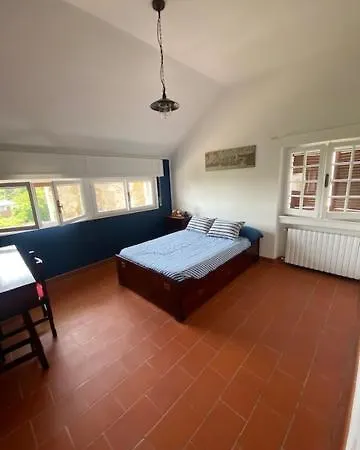 ヴィラ Saracena *