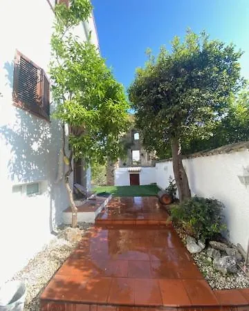Saracena *